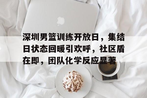 爱游戏-深圳男篮训练开放日，集结日状态回暖引欢呼，社区盾在即，团队化学反应显著的简单介绍